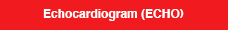 Echocardiogram-(ECHO).jpg