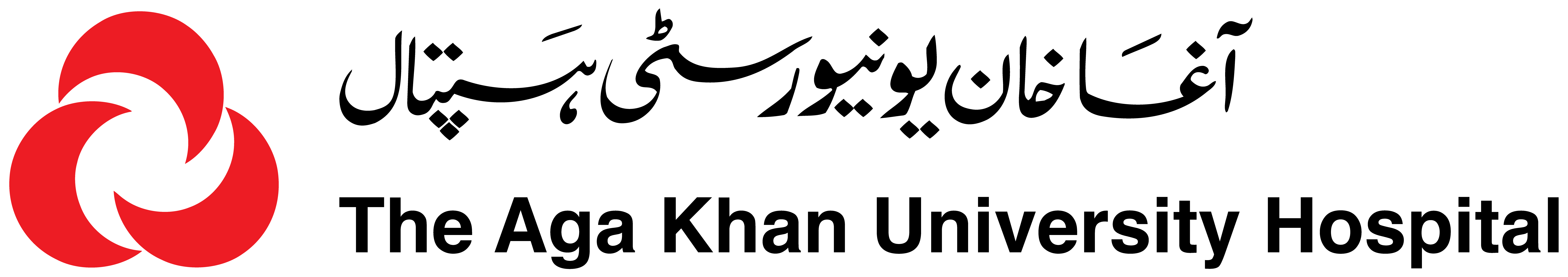 AKUH logo without locator.png